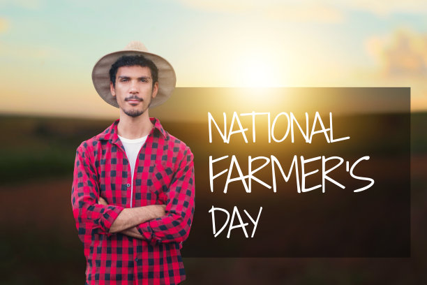 日落时分的农民。全国农民日短信。图片下载