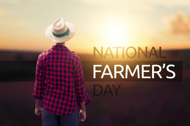 日落时分的农民。全国农民日短信。图片下载