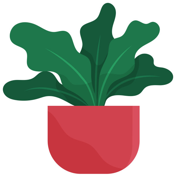 装饰用的绿色植物，长叶，陶瓷图片下载