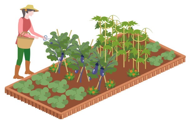 用剪刀把藤剪断图片下载