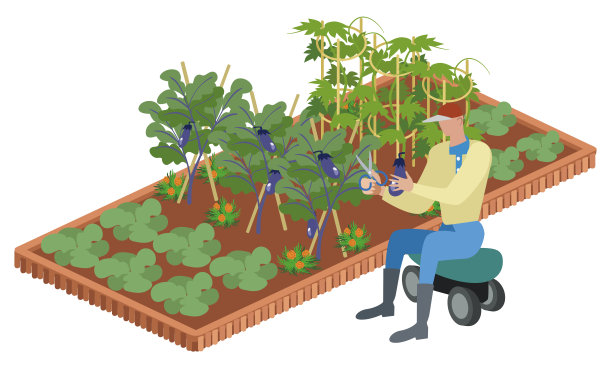 用剪刀把藤剪断图片下载