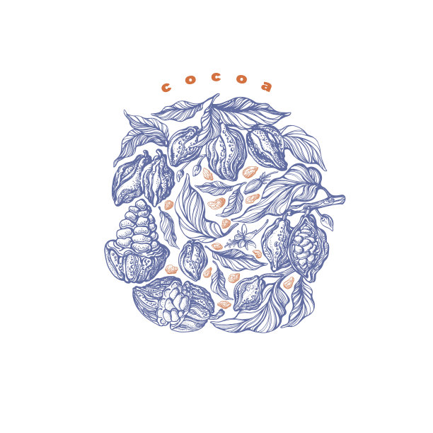 可可豆,分支。向量贴纸。复古标志图片下载