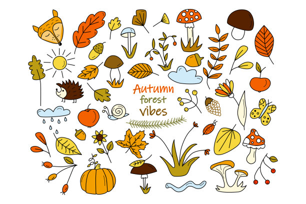 收集秋天森林涂鸦元素。秋天的背景。图片下载