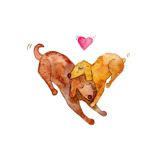 圣情人节卡片。爱。水彩画两只狗的心图片下载