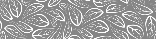 灰色背景上白色叶子的横幅图片下载