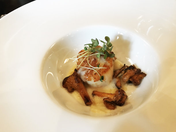 鸡油菇扇贝图片下载