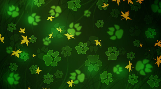 野生森林的绿色背景上有动物的脚印。图片下载