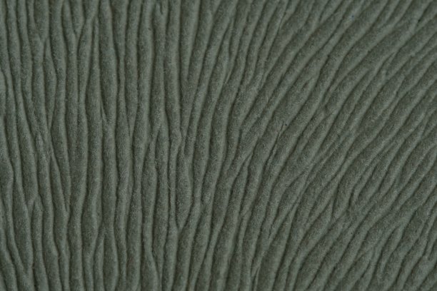 毛茸茸的天然毛皮图案纹理背景。图片下载