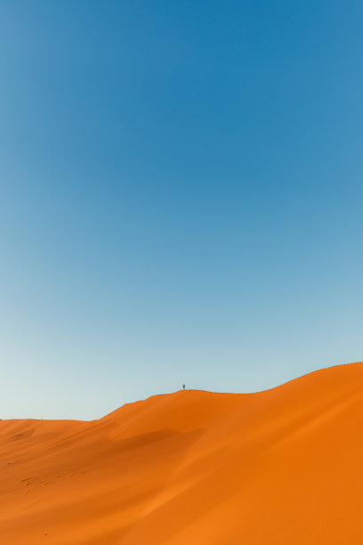 在纳米比亚的日出期间，人旅行者探索与树木和沙丘的索苏雷沙漠景观图片下载