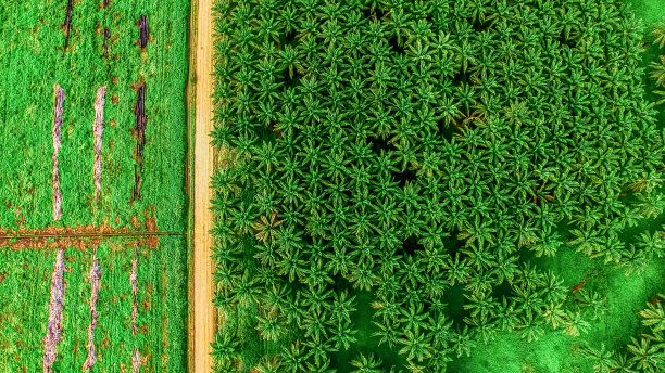 一幅航拍照片显示了远处的热带村庄。图片下载