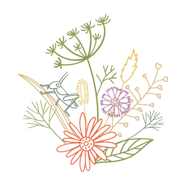 孤立设计卡内衬装饰图片下载