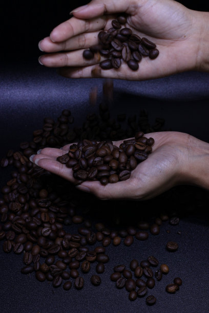 咖啡豆在手中图片下载