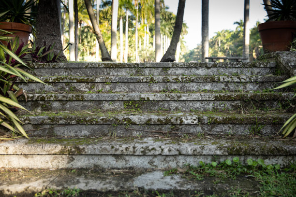 长满青苔的台阶在一个老房子里图片下载