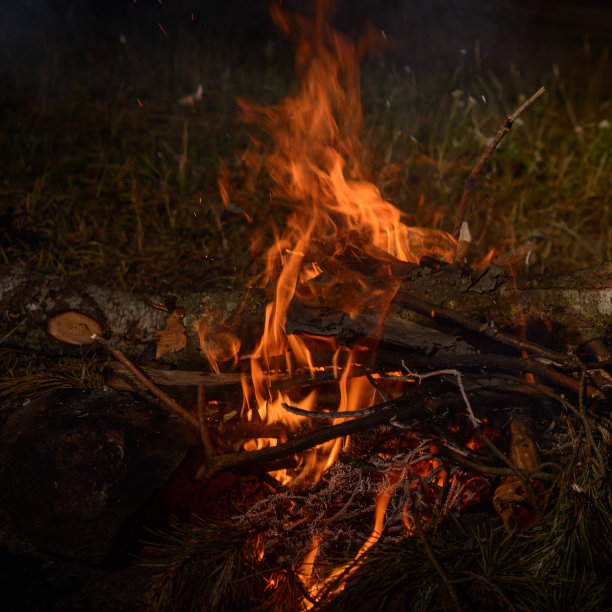 篝火在夜晚在树林里燃烧。图片下载