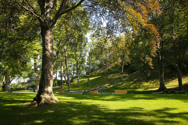 在市中心美丽的公园脚下的台阶上可以看到Aksla的视点。在挪威的奥勒松镇，人们可以在树木和公园长椅之间坐下来放松。图片下载