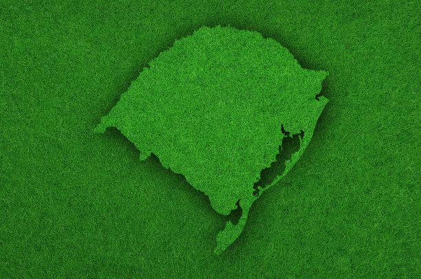 绿毛毡上的南大堡地图图片下载