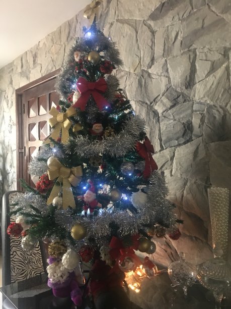 家里的圣诞树图片下载