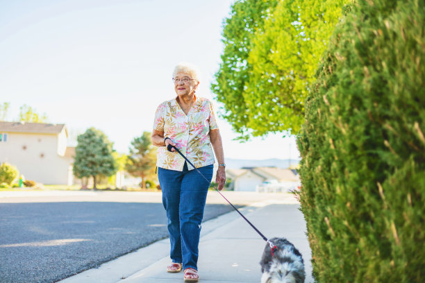 成年年长女性喜欢牵着狗在户外散步系列照片图片下载
