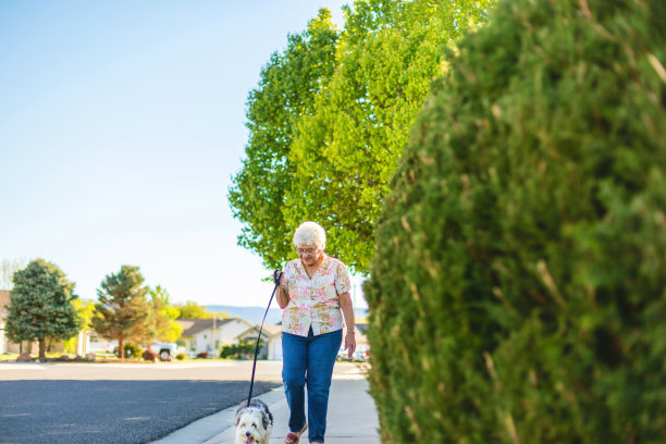 成年年长女性喜欢牵着狗在户外散步系列照片图片下载