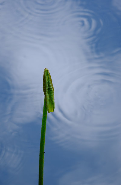 新生儿图片下载