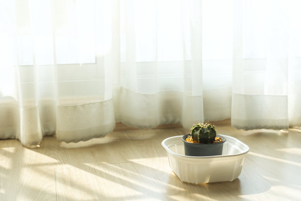 卧室窗帘附近的棕色木板地板上有一个花盆，里面种着一株长着漂亮刺的绿色仙人掌。图片下载