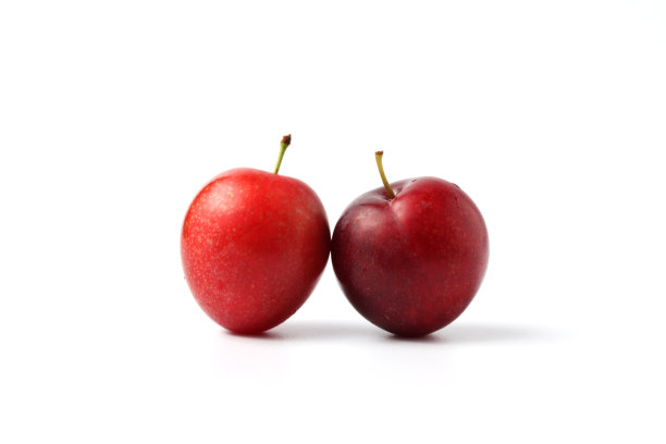 梅子果实孤立在白色背景上图片下载