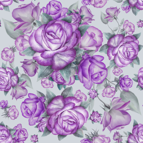 无缝图案与紫色玫瑰和灰色的叶子在背景。图片下载