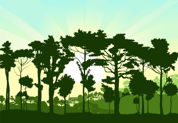 落叶林。轮廓。成熟,传播树。浓密的灌木丛。长满植物的小山。有日出和晨光的天空。向量图片下载