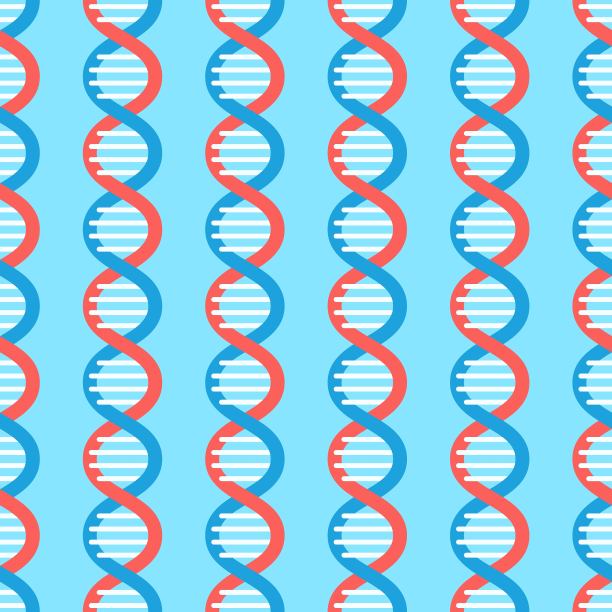 医院的壁纸非常漂亮，背景是一盒药丸或药物。用dna测试来检测亲缘关系。dna分子模式的矢量图。图片下载