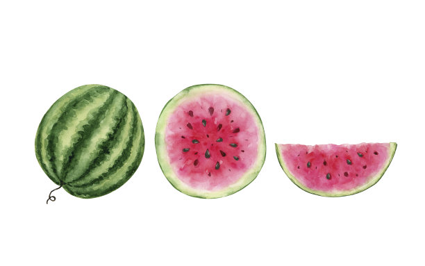 一套西瓜插图，完整和切片手绘图片下载