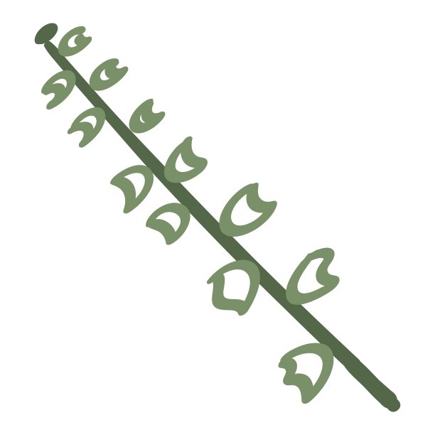 装饰鲜花、树叶和物品来创造明信片和图案图片下载