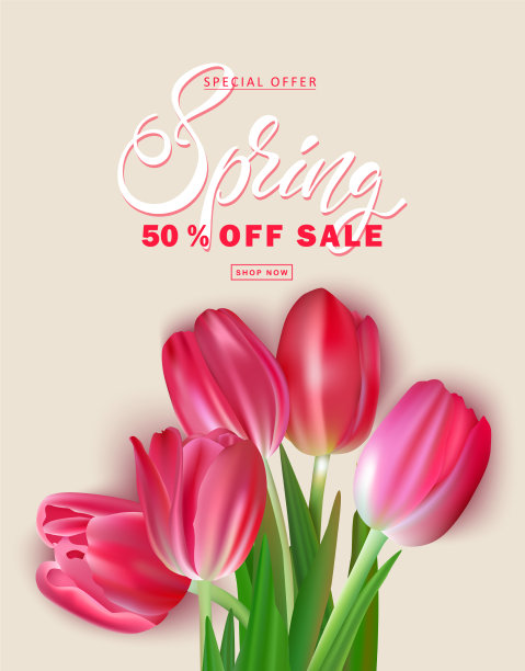 淡褐色背景上的郁金香花束图片下载