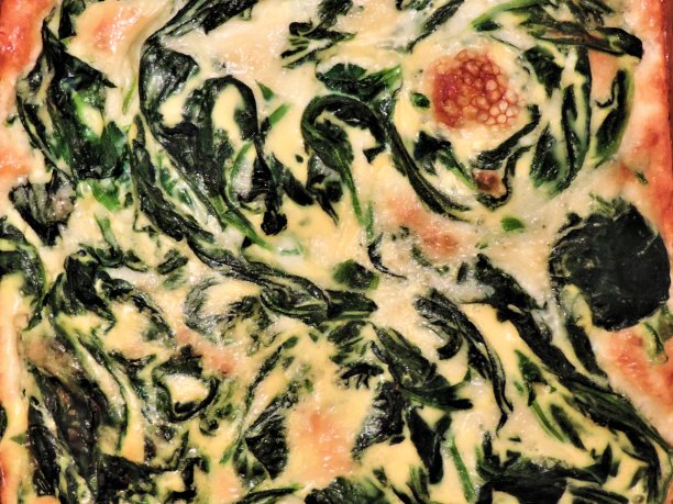 菠菜的腿。抽象的背景。图片下载