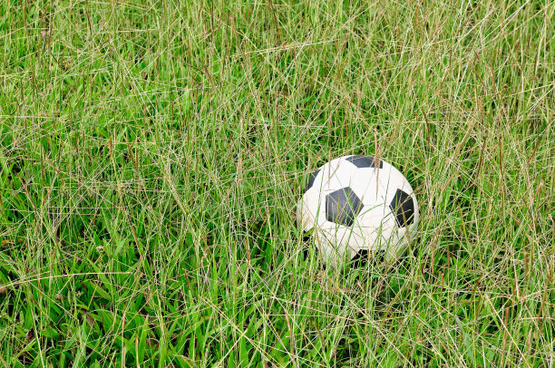 绿色草地上的足球。图片下载