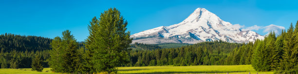 美国俄勒冈州胡德河的胡德河山峰全景图片下载