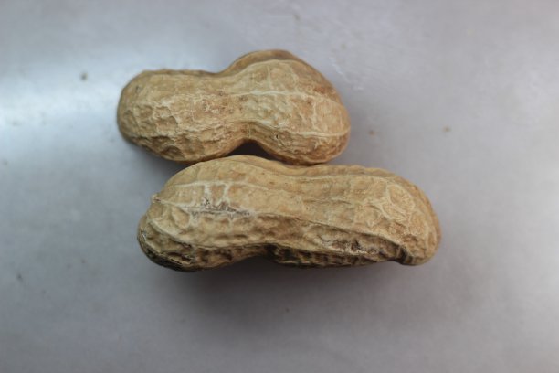 带壳的未剥皮花生图片下载