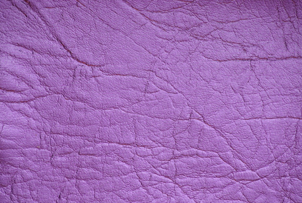 真正的皮革染成明亮的紫色，有很大的皱纹。图片下载