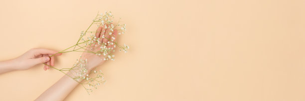 在米色的背景上，女性的手拿着白色的gypsophila花。图片下载