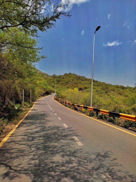 美丽的道路风景美丽的绿树图片下载