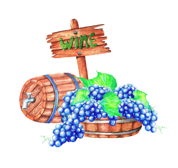 一盆葡萄，一个招牌和一个酒桶。水彩(2)图片下载