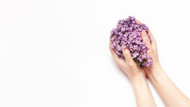 女性双手捧着白色背景上的丁香花。天然美容产品概念。俯视图，平放。本空间图片下载