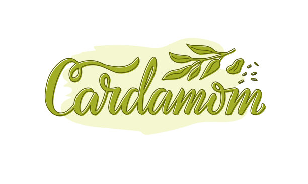 小豆蔻绿色的字母，有抽出的种子和图片下载