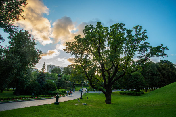 在莫斯科市中心亚历山德罗夫斯基公园田园般的日落景色。夏天公园里美丽的橡树!图片下载