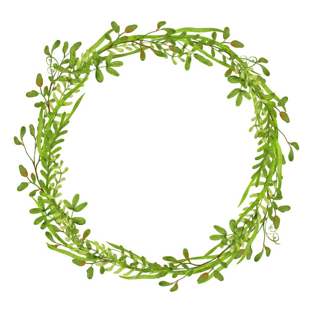 水彩画圆形框架或花环，绿色或草本孤立在白色上。美丽的插图。贺卡，婚礼请柬，家庭艺术打印的伟大模板。数字艺术。图片下载