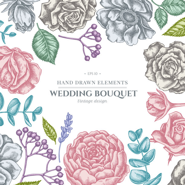 花朵设计与柔和的玫瑰银莲花图片下载