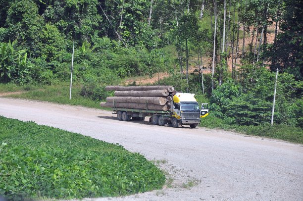 装载木材的伐木卡车。图片下载