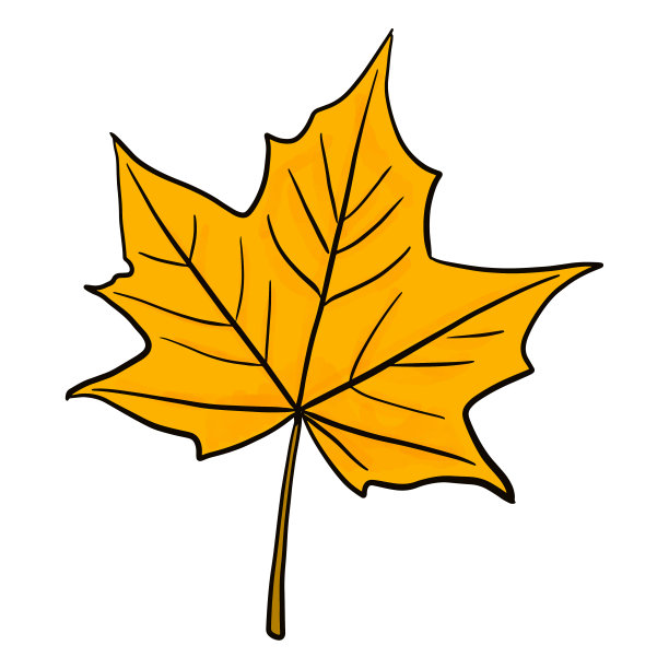 明亮的黄色艺术枫叶与水彩纹理矢量插图孤立的白色背景。设计元素为秋季设计。秋季图形剪辑艺术图片下载