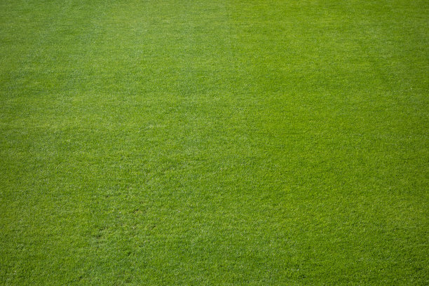 绿草运动场地上的白线为运动概念图片下载