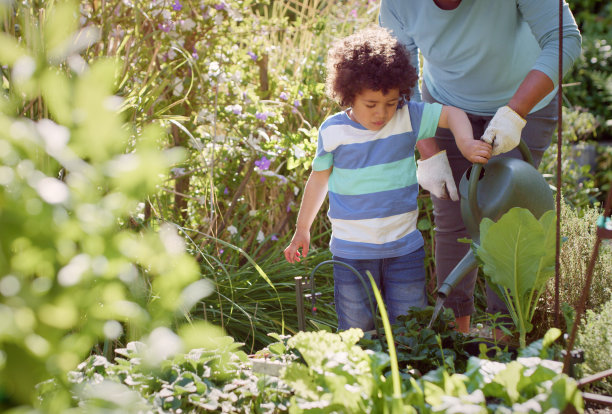 这是一个可爱的小男孩和他的祖母在花园里浇水的照片图片下载