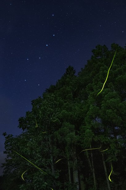 萤火虫和星空在长野县安南镇，日本图片下载